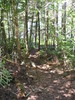 Path down to private boat landing.
