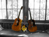 changed background to b/w