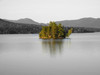 changed background to b/w